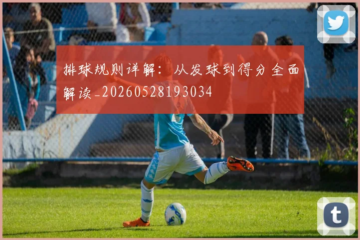 排球规则详解：从发球到得分全面解读_20260528193034