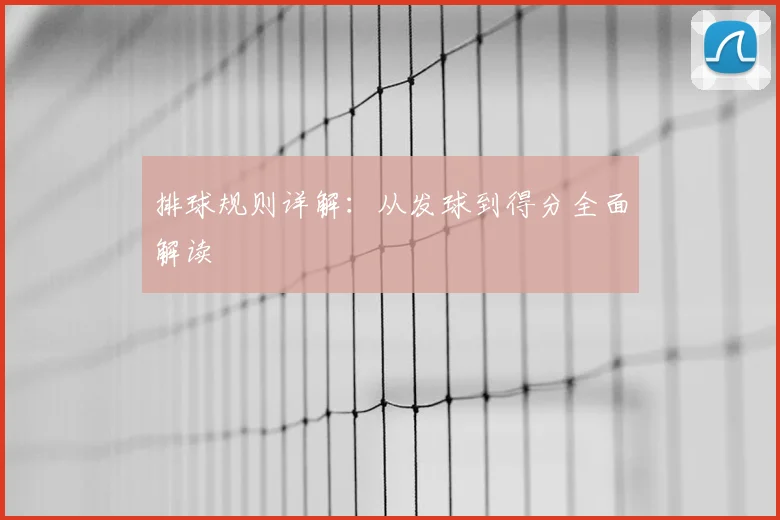 排球规则详解：从发球到得分全面解读