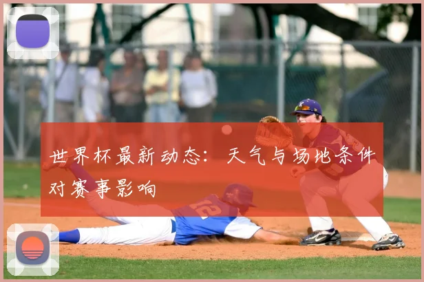 世界杯最新动态:天气与场地条件对赛事影响