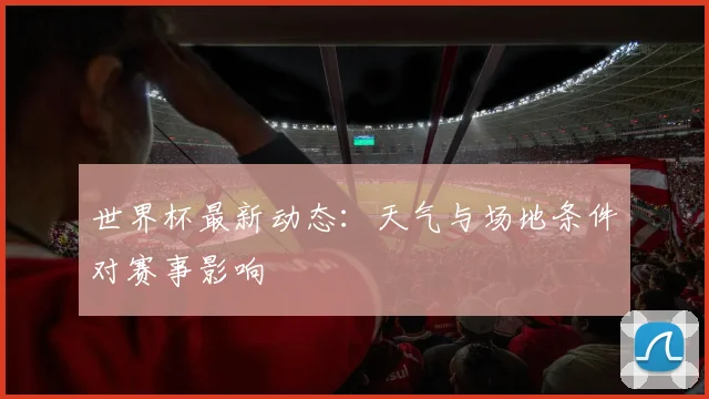 世界杯最新动态：天气与场地条件对赛事影响
